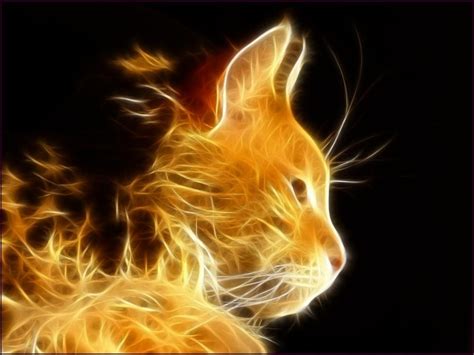 Electric Cat Art Cats Pinterest