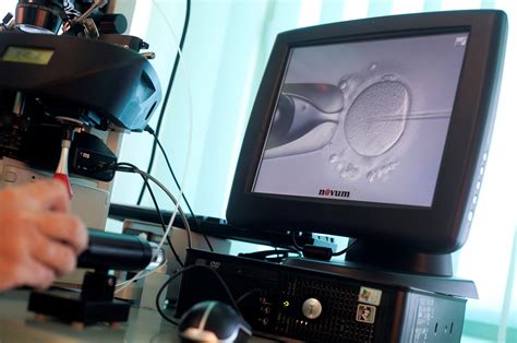 Fertility Doctor Used His Own Sperm To Impregnate Woman Biological