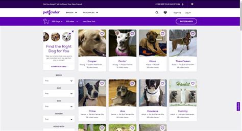 9 Best Pet Adoption Websites Where To Find A New Pooch