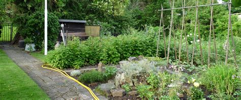 Finde günstige immobilien zur miete in mainz. Garten Mieten Mainz - Gartengestaltung Idee