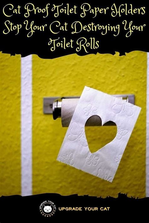 Our animal toilet paper holder makes a visit to the bathroom fun for all ages! 5 Cat Proof Toilet Paper Holders to Keep Cats off Your ...