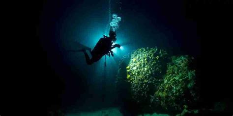 Night Boat Dive In Curacao With Ocean Encounters