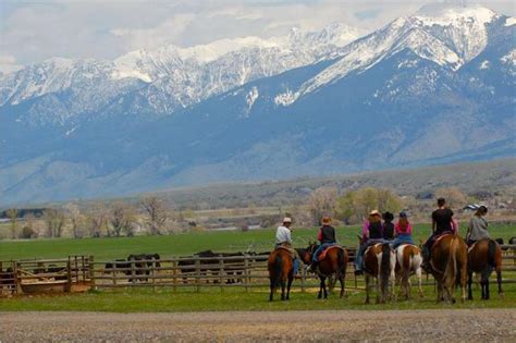 Mountain Sky Guest Ranch ~ An Overview