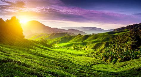 While most people understand how and why a will is needed, very few know what happens when it comes to administering and executing a will in an increasingly complex modern economy. Malaysia Rundreise | Höhepunkte | SKR Reisen