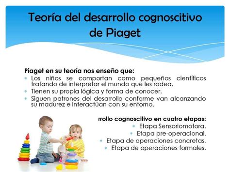 Las Etapas Del Desarrollo Cognitivo De Piaget Images