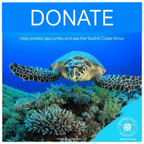 Donate To Local Ocean Conservation Local Ocean Conservation