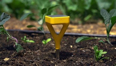 Edyn Smart Garden Sensor Review Should You Buy It All Home Robotics