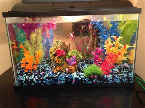Small Colorful Fish Tank Fish Tank Themes Fish Tank Colorful Fish