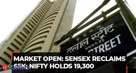 Sensex Today Sensex Gains Points Nifty Holds Adani Enterprises Jumps The