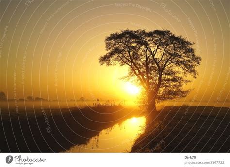 Sunrise Meadow Tree And Brook A Royalty Free Stock Photo From Photocase