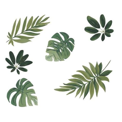 The sonoran desert is the wettest desert in north america with temperatures that vary in different months. Wall Pops Green Havana Leaves Wall Decal DWPK2761 | Flower ...