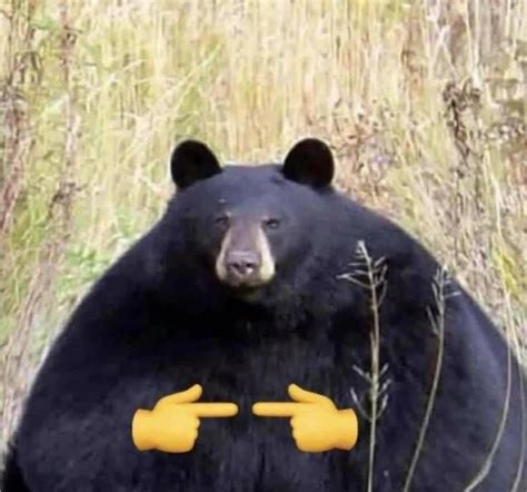Bear With Me Is For Me Know Your Meme