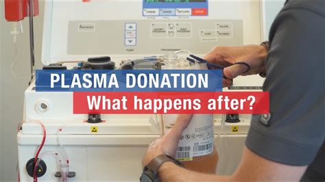 How Much Do U Get To Donate Plasma