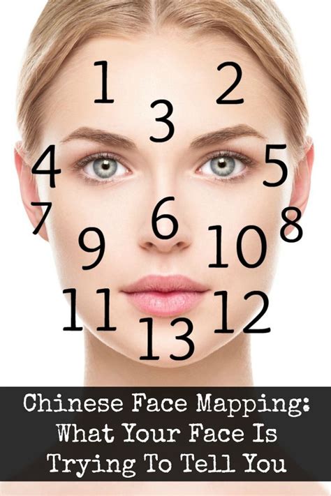 Chinese Face Mapping What Your Face Is Trying To Tell You Face