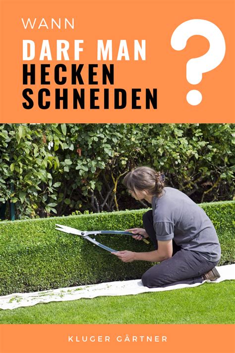 Fristlos bedeutet außerhalb jeglicher kündigungsfrist. Wann darf man Hecken schneiden? in 2020 | Hecke, Pflanzen ...