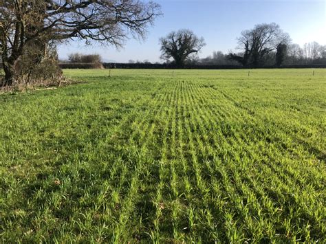 Pasture Cropping | Page 2 | The Farming Forum