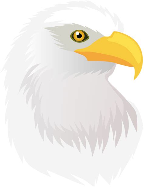 Eagle Head Transparent Png Clip Art Image Clip Art Library