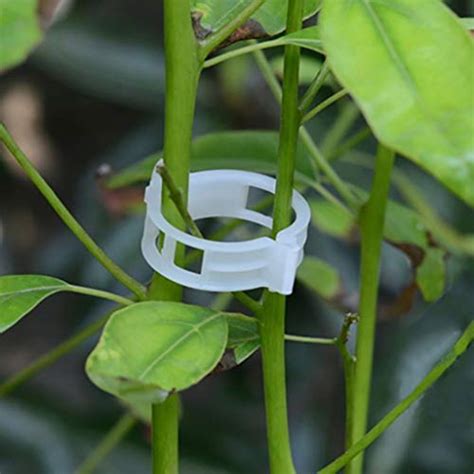 Mb Lanhua 50 Piecespack 25mm Plant Clips Plastic Garden Plant Support