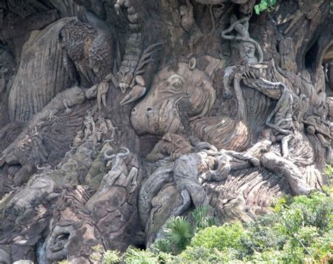 Tree Of Life Free Stock Photo - Public Domain Pictures