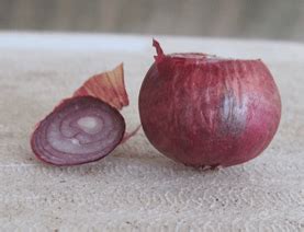 Cara menanam bawang merah pada musim kemarau adalah memberikan jarak tanam dipadatkan menjadi 15 x 15 cm. Belajar Cara Tanam Bawang Merah di dalam Pasu | Kebun Bandar