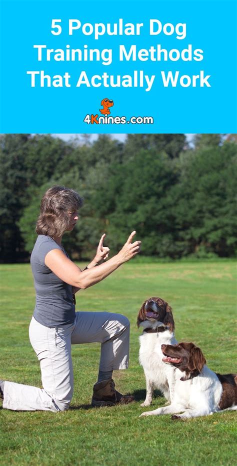 5 Popular Dog Training Methods That Actually Work Dog Training Dog