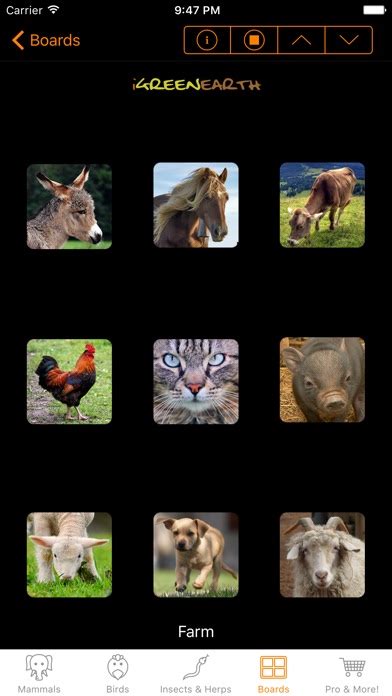 Animal Chatter Pro On The App Store