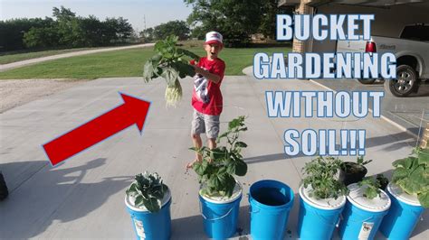 Garden In 5 Gallon Buckets Without Soil Diy Hydroponics Youtube