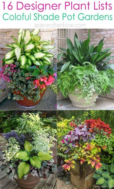16 Colorful Shade Garden Pots And Plant Lists 1000 Shade