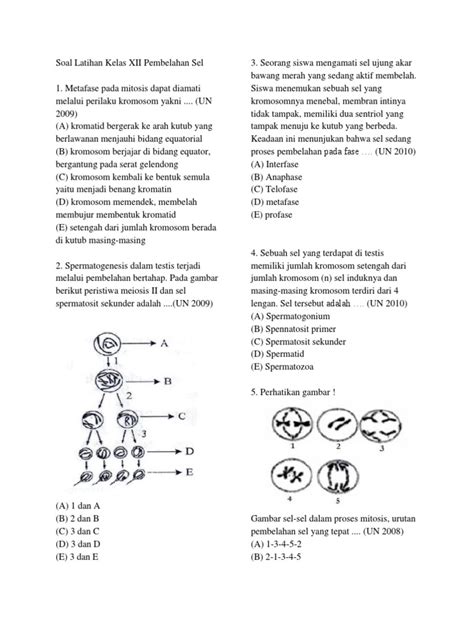 We did not find results for: Kumpulan Soal Latihan SMA Kelas XII BAB Pembelahan Sel