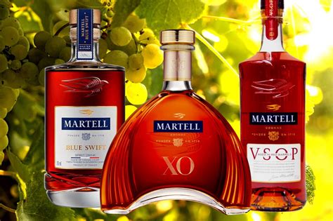 7 Decadent Martell Cognacs To Discover Drinks Geek