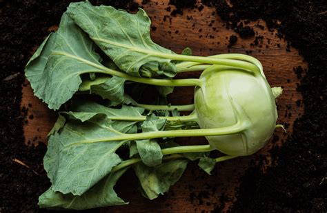 Kohlrabi Tastes Great And Is Packed With Vitamins Freshmag