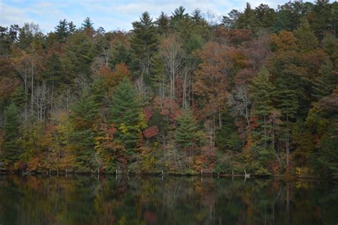 Fall Colors On Lake Lure Nc Oc 6016x4000 Pics