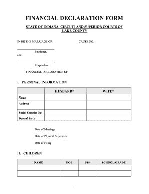 financial declaration form fill  printable fillable blank