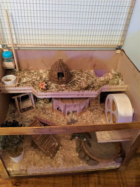 Diy Hamster Cage Hamster Cage Hamster Life Hamster