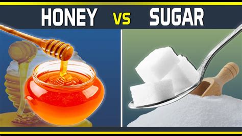 Honey Vs Sugar Which Is Healthier Watch This Before Your Next Meal Youtube