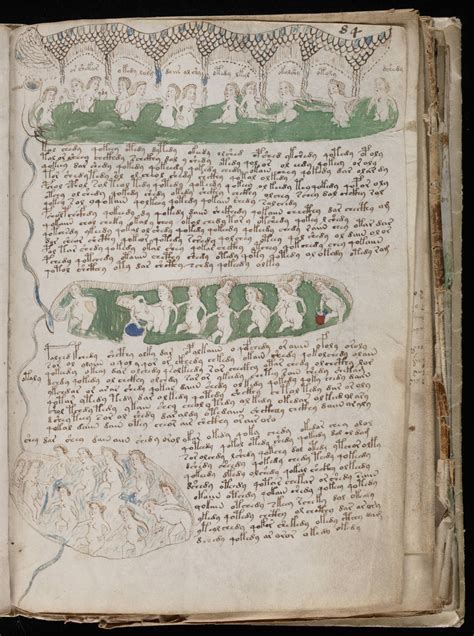 The Unsolvable Mysteries Of The Voynich Manuscript The New Yorker