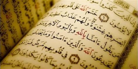 El Corán Libro Sagrado De Los Musulmanes Hadith Imam Malik Parole