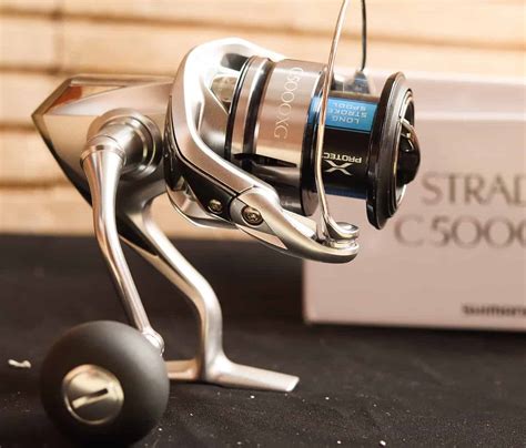 Best Shimano Spinning Reels Ratings Reviews Top Picks