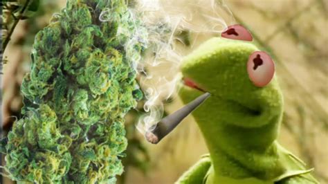 Kermit The Frog Smoking A Joint