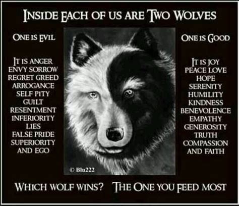 Good And Evil Wolf Quotes Two Wolves Native American Quotes