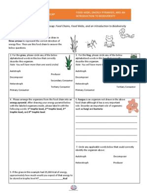 The handouts are application oriented and supplemental to the more important thing like creating in the classroom and hands on labs. Ecological Relationships Worksheet Pdf Answer Key Amoeba ...
