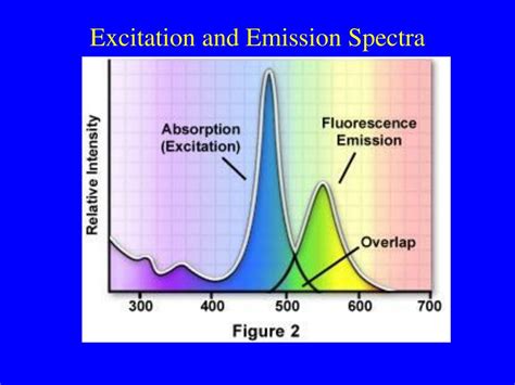 Ppt Fundamentals Of Fluorescence Microscopy Powerpoint Presentation