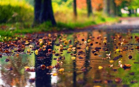 Autumn Rain Wallpapers Top Free Autumn Rain Backgrounds