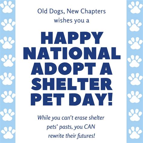 Happy National Adopt A Shelter Old Dogs New Chapters