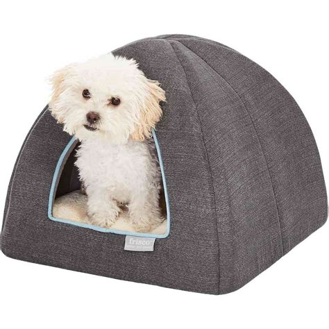 The 15 Best Dog Beds Daily Paws