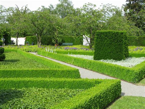 41 Incredible Garden Hedge Ideas For Your Yard Photos