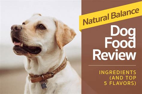 They also provide the kind of carbohydrates that deliver sustained energy to your dog. Natural Balance Dog Food Reviews, Ingredients (And Top 5 ...