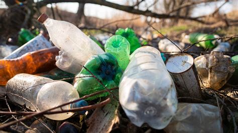 Plastic Waste An Unignorable Environmental Crisis Sustainability Kmutt