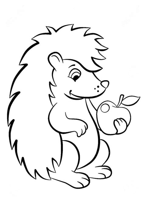 Hedgehog Coloring Pages - Best Coloring Pages For Kids | Hedgehog