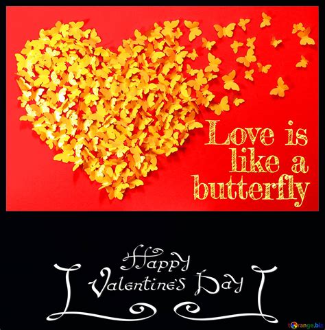 Love Butterfly Happy Valentines Day №179796